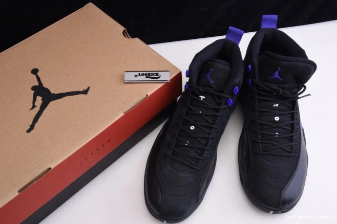 Rep LUCY Retro 12 CT8013 'Dark Jordan 005 Air Concord' 0722